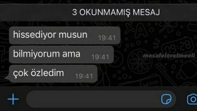 Şöyle bir mesaj gelse cevabınız ne olur?