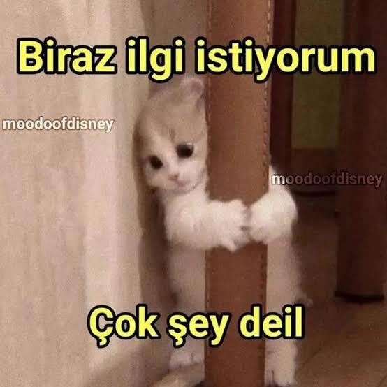 🫢