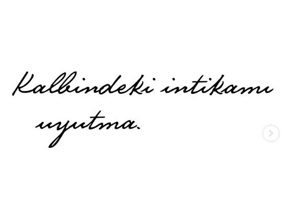 Mustafa Kemal Atatürk'ü seviyor musunuz?