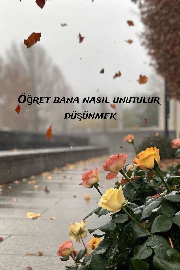 Huzurlu geceler 🥰 siz en çok kimi özlediniz?