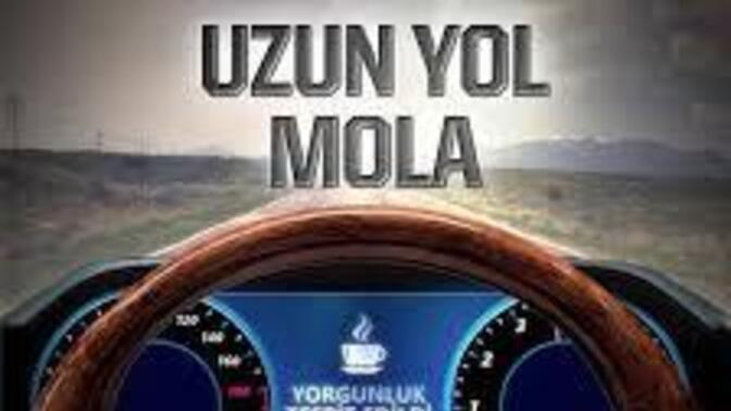 Uzun bir yolculuğa çıkınca kaç saatte bir mola veriyorsunuz?
