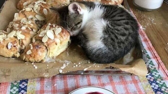 Erken saatlerde müzik dinlemek ruh halinizi iyi yönde etkileye bilir mi?
