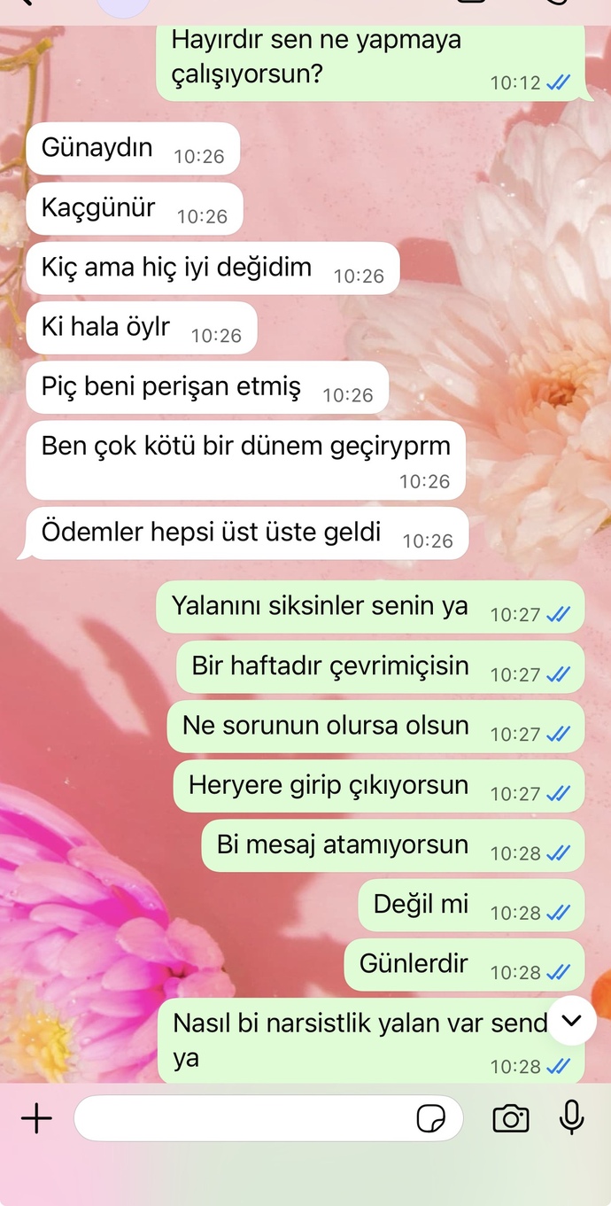 Sizce ben mi abarttım?