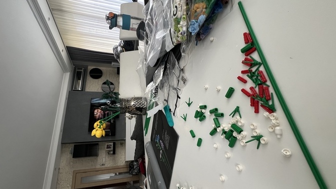 Lego yapmayı seviyor musunuz?