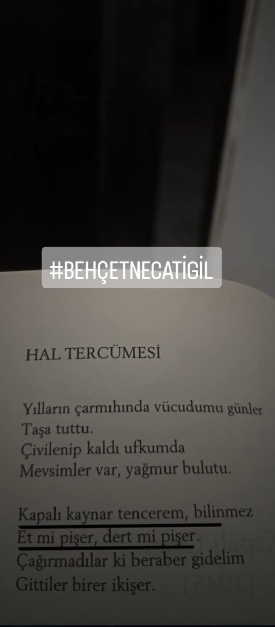 En son kitap fuarında kaç tane kitap satın almıştınız?