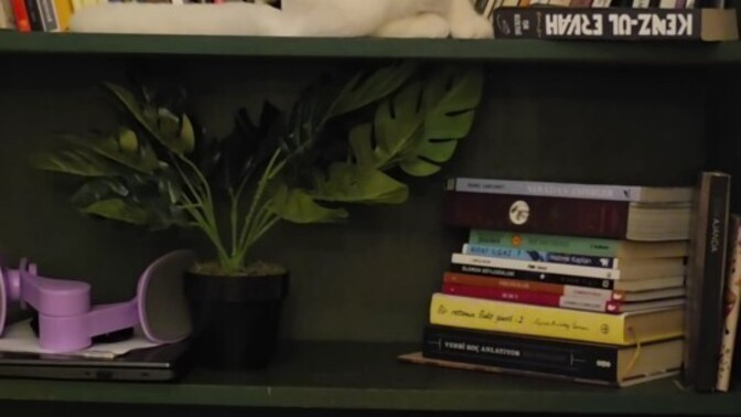 En son kitap fuarında kaç tane kitap satın almıştınız?