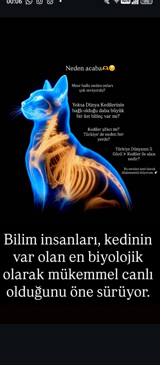 Kedisini kendisinin doğurduğunu İddia eden kızlara günaydın dediniz mi?