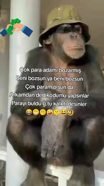Çok zengin birisiyle sevgili olabilir miydiniz?