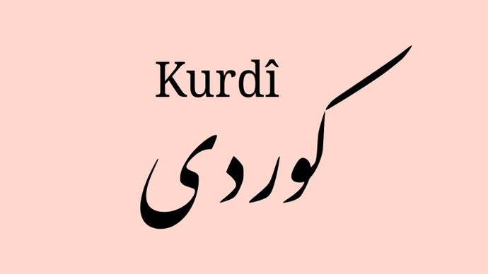 Kürtçe biliyor musunuz?