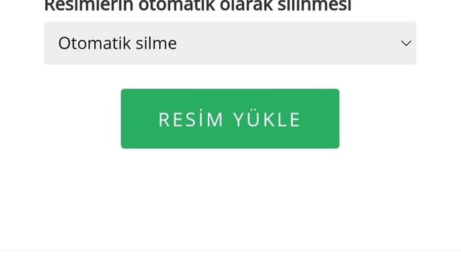 İmgbb resim yükleme sitesinde otomatik silme seçilince kalıcı mı yüklenmiş oluyor?