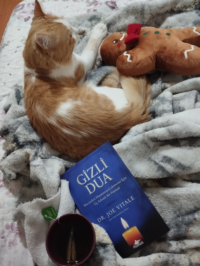 Huzuru arayan mısınız yoksa ânın huzurunun tadını çıkaran mı?