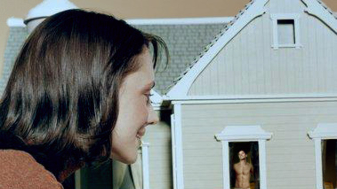 Odanızda veya evinizde bir oyuncak evde yaşayan minik bir insan dostunuz olmasını ister miydiniz?