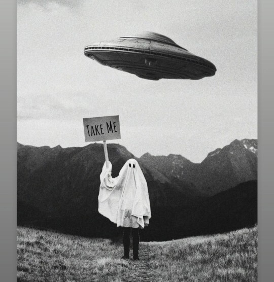 Odamın hayaletisin👻 sessizliğine aşığım dediğiniz o burç hangisi?