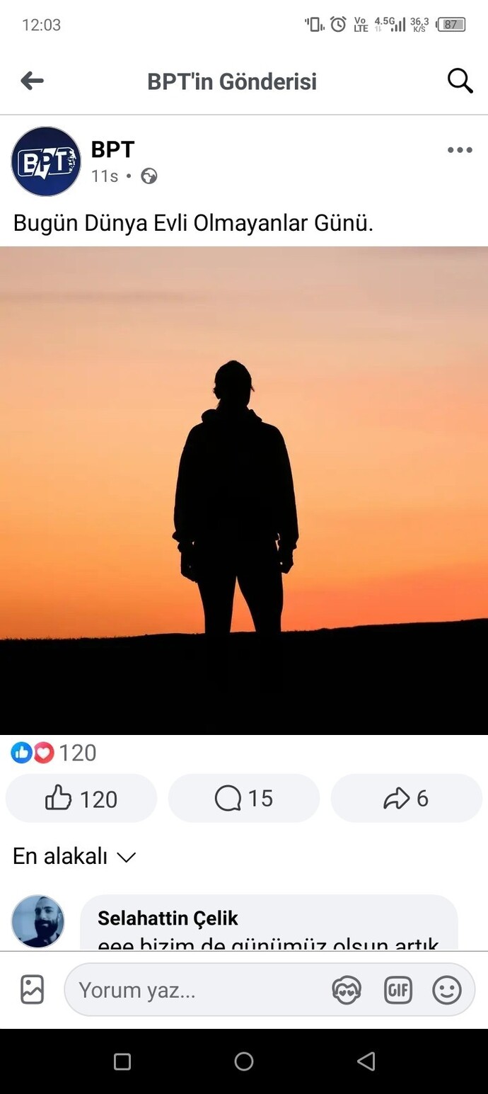 Siz hala bekar mi?