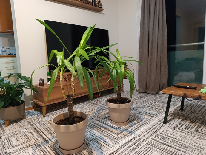 Çöpte çiçek bulsan alır mısın ben aldim utana utana 😀?