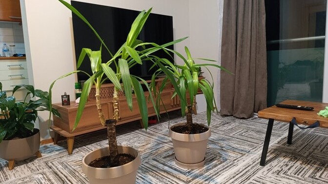 Çöpte çiçek bulsan alır mısın ben aldim utana utana 😀?