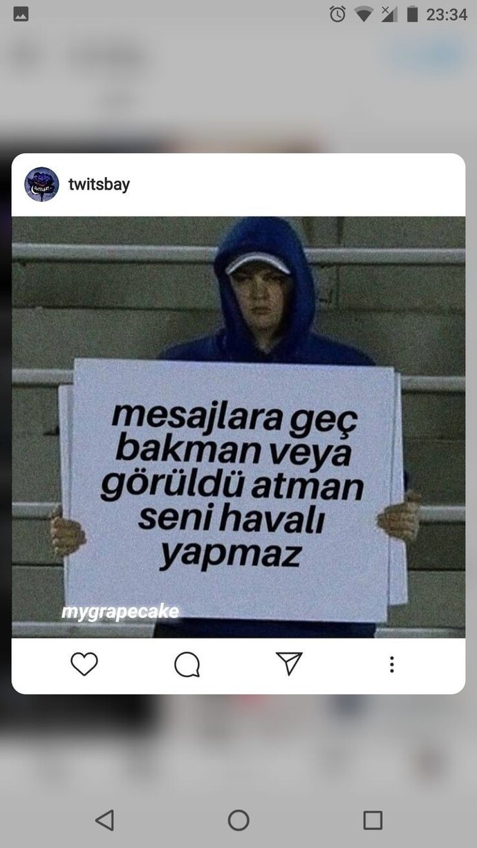 Mesajlara görüldü atanlara gıcık oluyor musunuz?