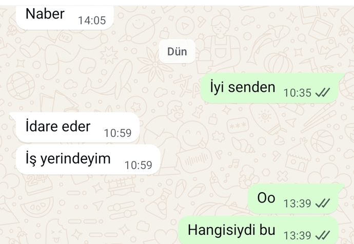 Mesajlara görüldü atanlara gıcık oluyor musunuz?
