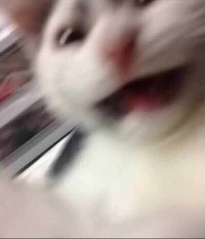 Böyle çoraplar giydiğim için mi kismetim kapalı acaba?🤭?