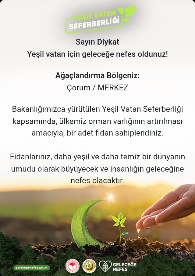 Ücretsiz bir ağaç sahiplenmek ister misin?