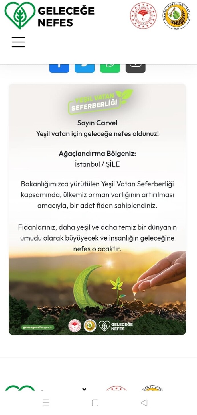 Ücretsiz bir ağaç sahiplenmek ister misin?