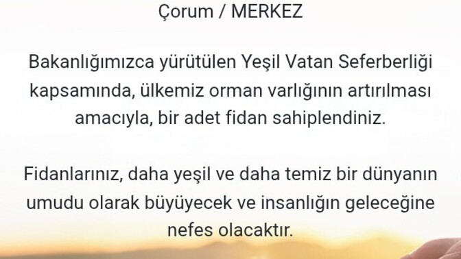Ücretsiz bir ağaç sahiplenmek ister misin?