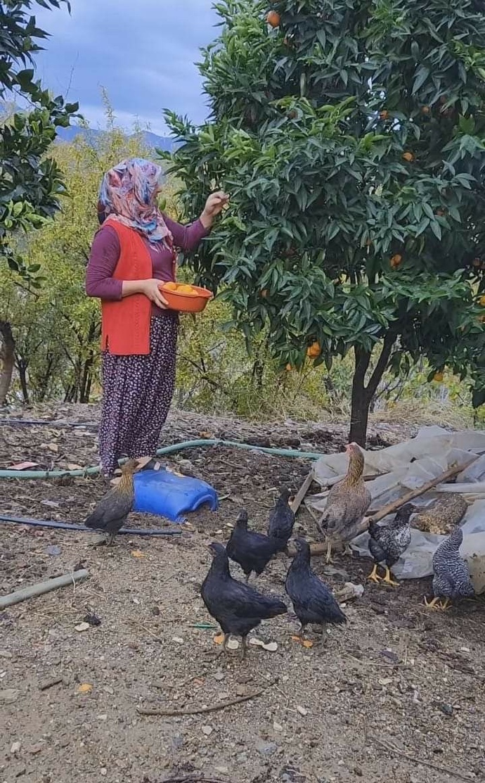 Şehir hayatı mı köy hayatı mı?
