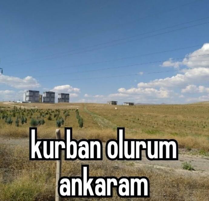 Biz simdi neyiz?