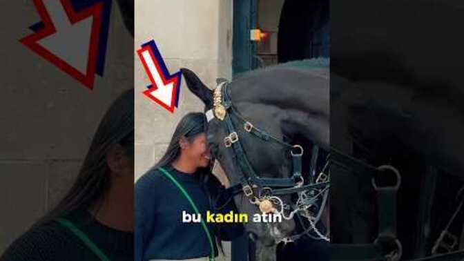 Atlar çok güzel hayvanlar değil mi yaa?