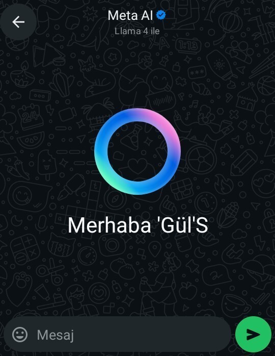 WhatsAppta yapay zeka ile konuşan var mı?