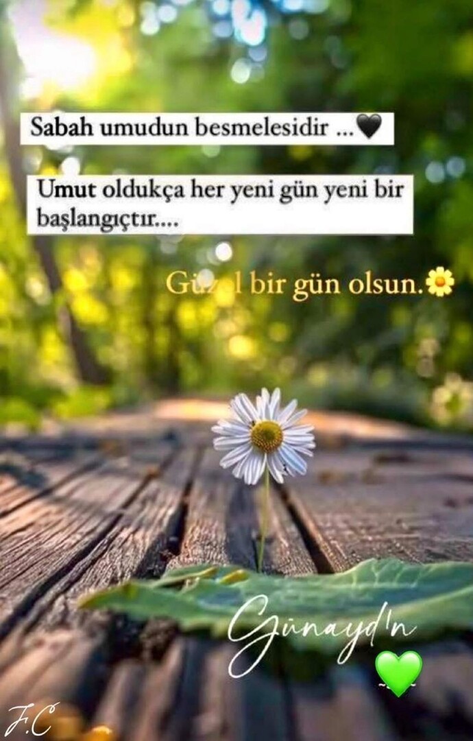 Acı çekerek öğrendiğimiz şeyler bizi daha çok etkiliyor neden acaba?