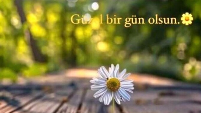 Acı çekerek öğrendiğimiz şeyler bizi daha çok etkiliyor neden acaba?
