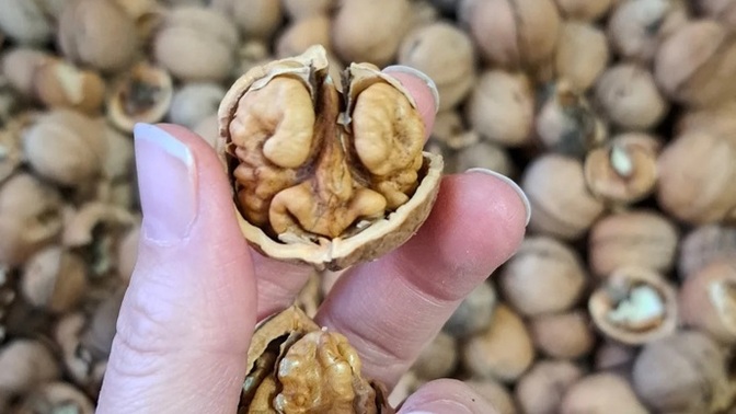 Gerçek zenginlik nedir?