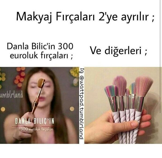 Bir makyaj fırçasına 300 euro verir misiniz?
