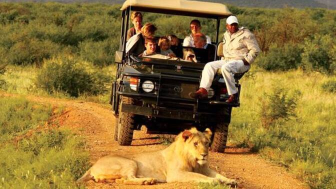 Afrika'da safari gezisi yapmak ister misin?