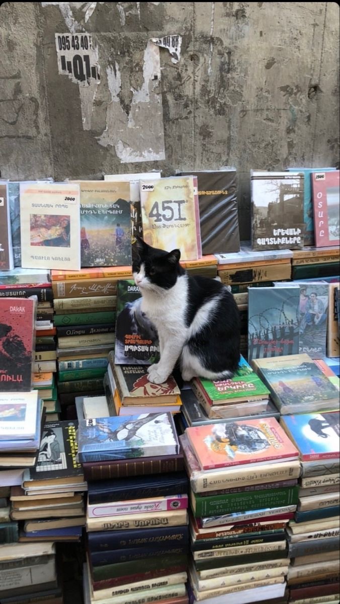 Hayatınızda en çok değer verdiğiniz 3 şey ne?