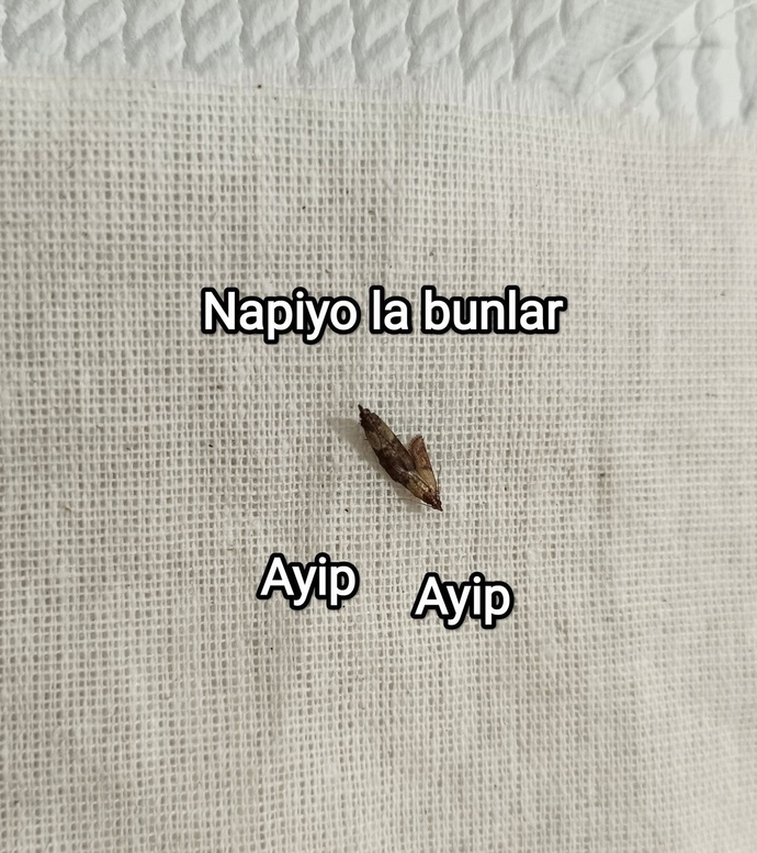 Toplum içinde sevgilini öper/sarilir misin?