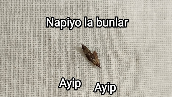 Toplum içinde sevgilini öper/sarilir misin?