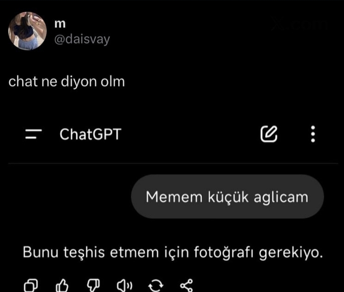 Yabay zeka bile foto isterken bizim istememize içerlemeniz haksızlık değil mi?