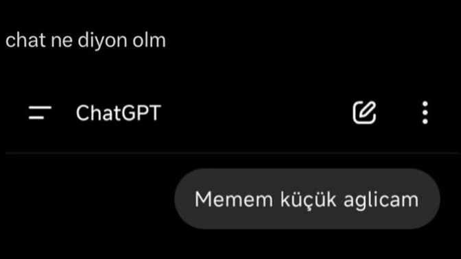 Yabay zeka bile foto isterken bizim istememize içerlemeniz haksızlık değil mi?