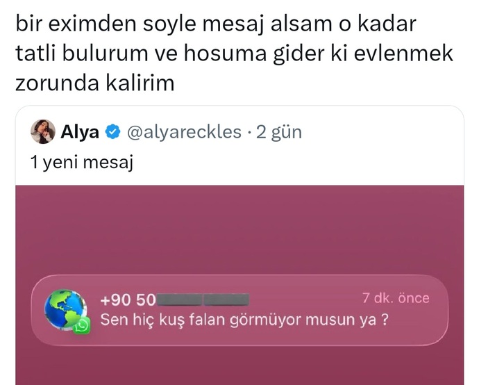 Bir kuş gördüm akımı size yapıldı mı?