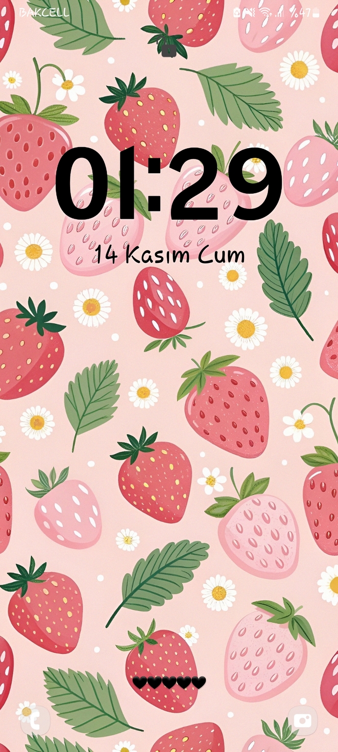 Sizce duvar kağıdım nasıl😻🎀 ?