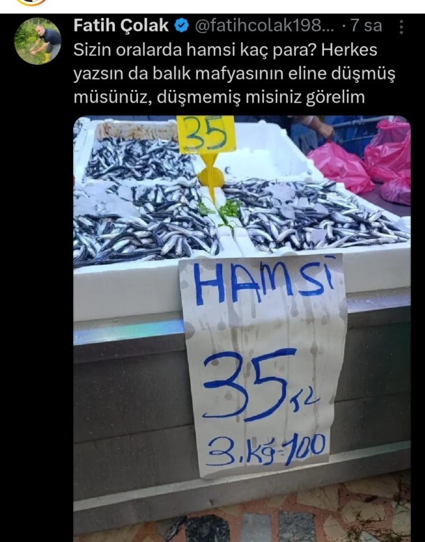 Sizin orada hamsi ne kadar?