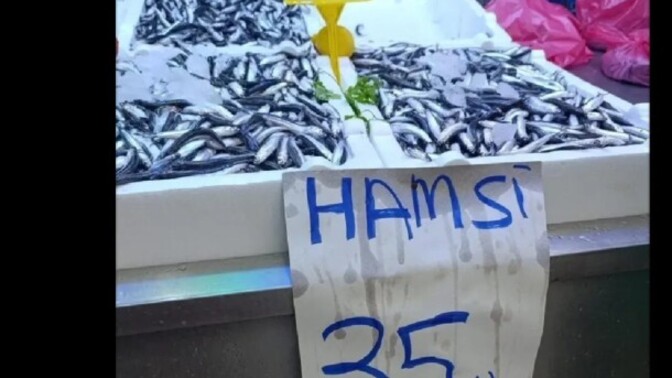 Sizin orada hamsi ne kadar?