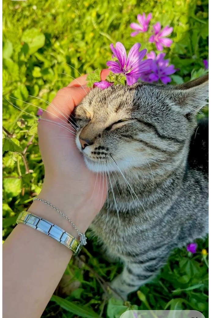 Sana bir şans verilse geçmişe mi gitmek yoksa geleceğe gitmek istersin?