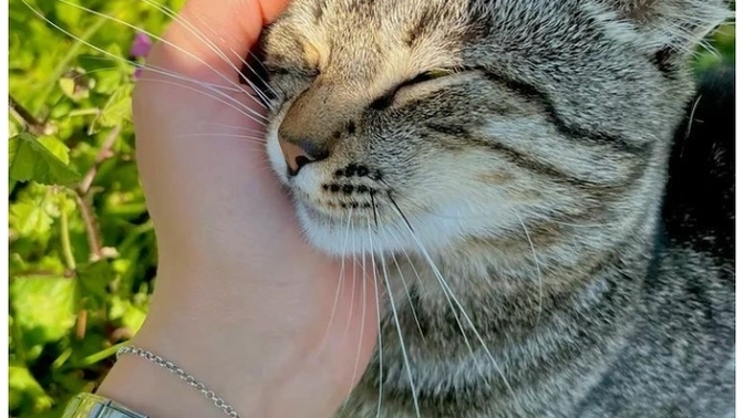 Sana bir şans verilse geçmişe mi gitmek yoksa geleceğe gitmek istersin?