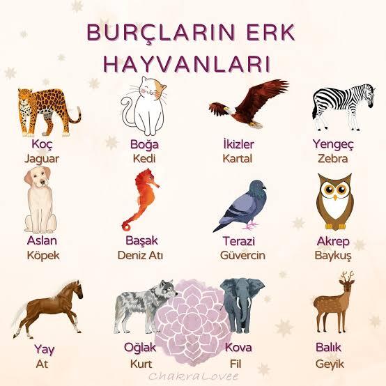 Burçuna göre hangisi sensin?