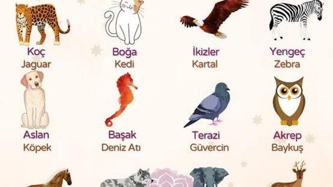 Burçuna göre hangisi sensin?
