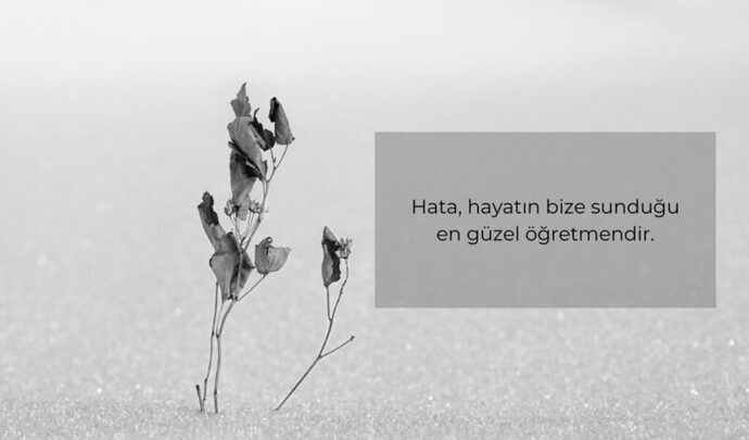 Bir hatayı kaç kere yapmak aptallıktır?