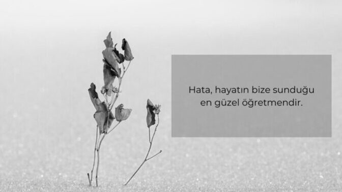 Bir hatayı kaç kere yapmak aptallıktır?